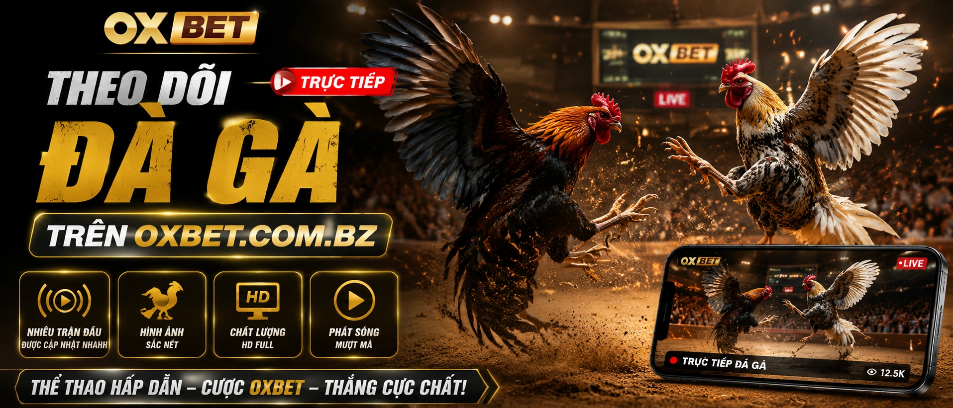Liên hệ OXBET Casino, Live Casino, Nổ Hũ 20 oxbet poker banner 2