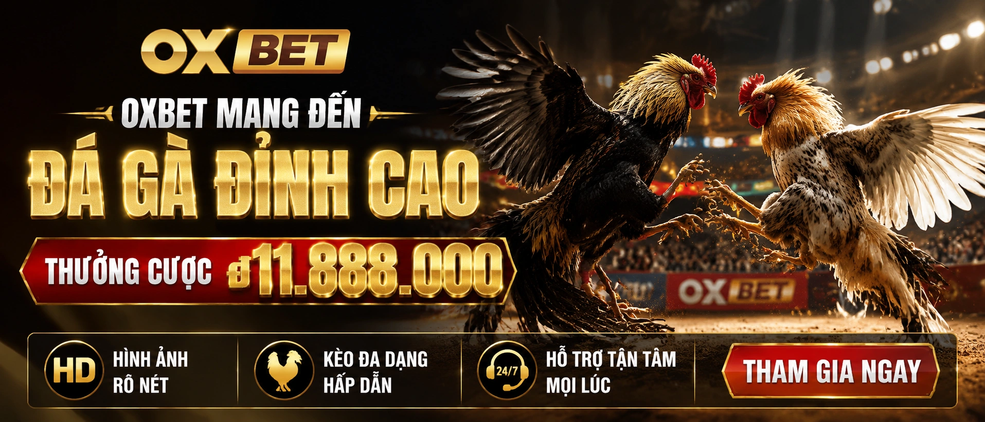 Liên hệ OXBET Casino, Live Casino, Nổ Hũ 19 oxbet poker banner 3